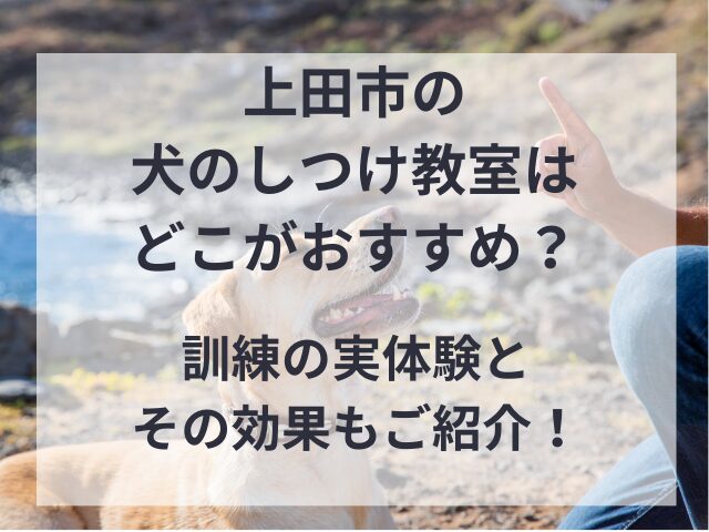 上田市の犬のしつけ教室は、どこがおすすめ？訓練の実体験とその効果もご紹介！